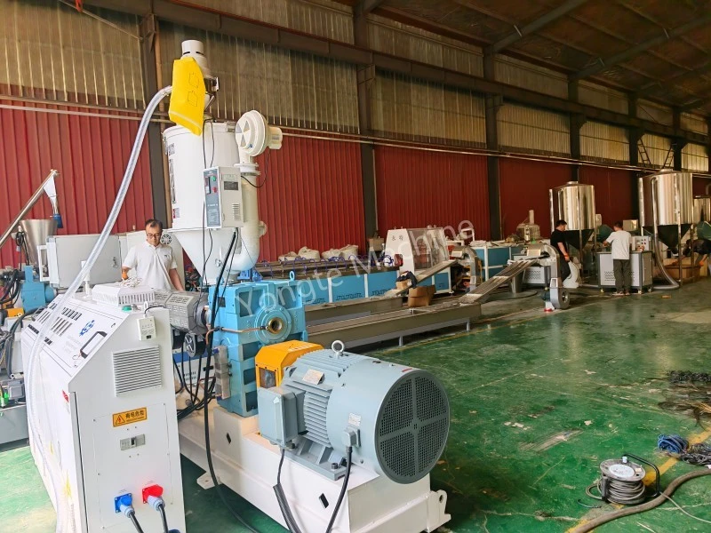 ເສັ້ນ Pelletizing ລີໄຊເຄີນພາດສະຕິກສົ່ງໃຫ້ລູກຄ້າອາຟຣິກາ